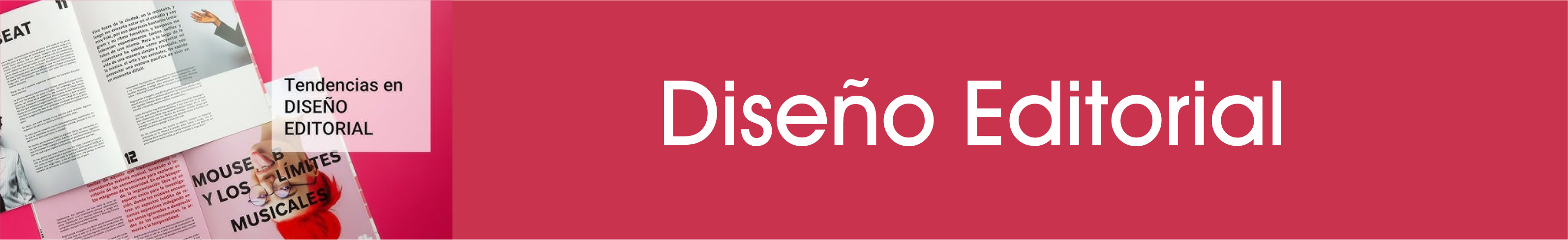 Diseño Editorial_IIICDM2025