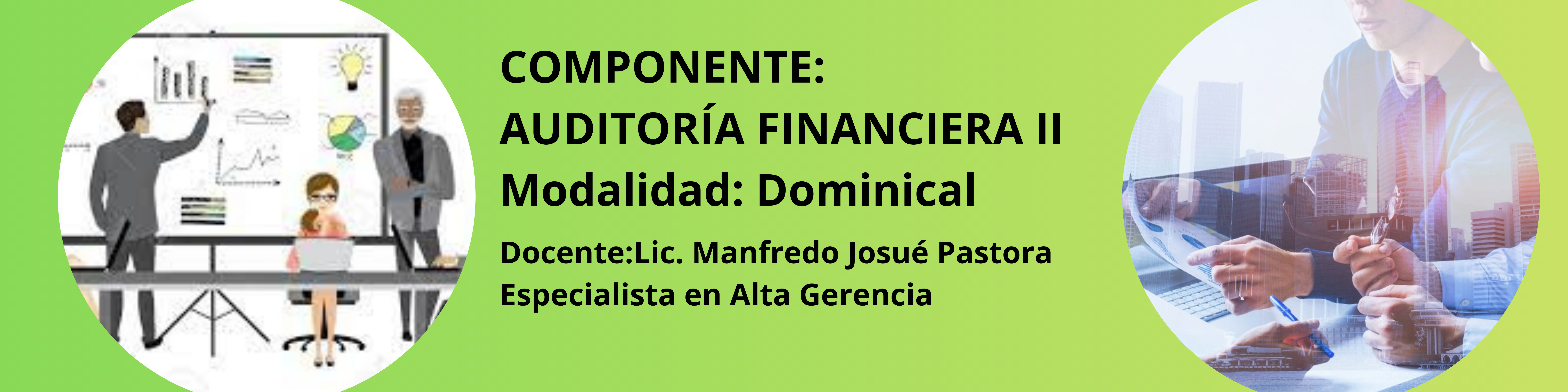 AUDITORIA FINANCIERA II_IVTDomL2025