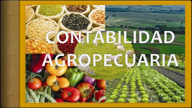 CONTABILIDAD AGROPECUARIA_CL_GReynosa