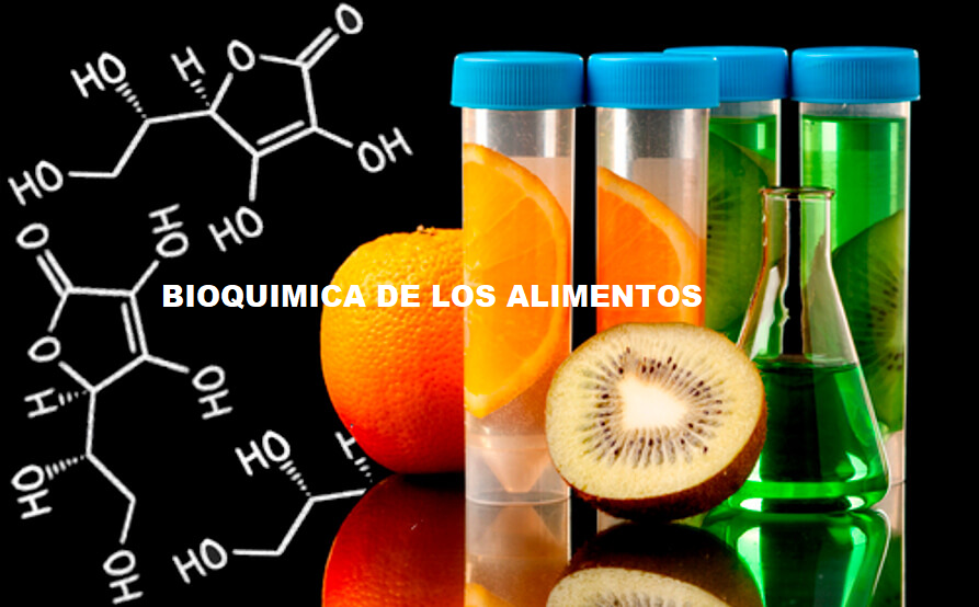 BIOQUÍMICA DE ALIMENTOS