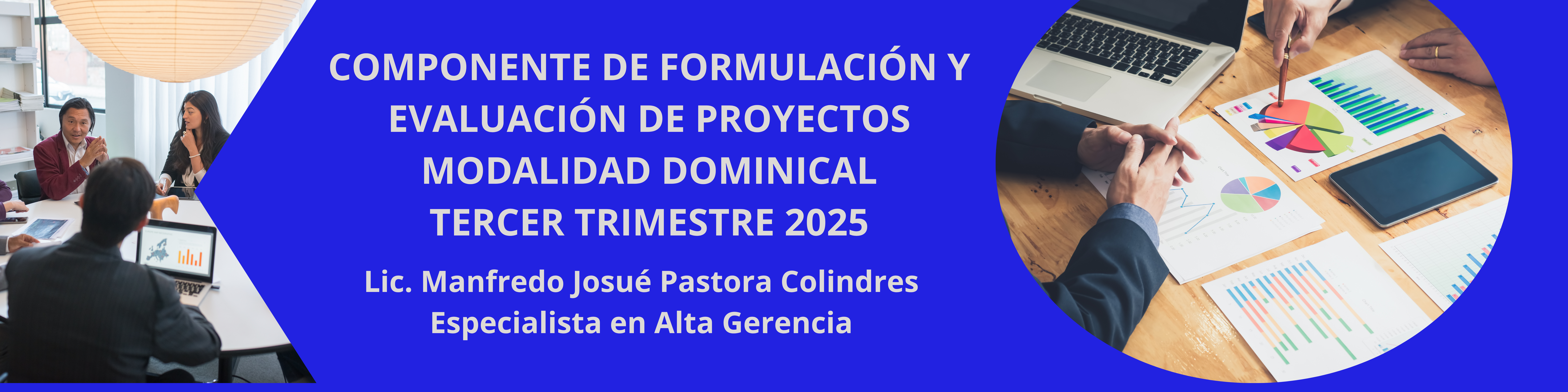 FORMULACION Y EVALUACION DE PROYECTOS_IIITDL2025*